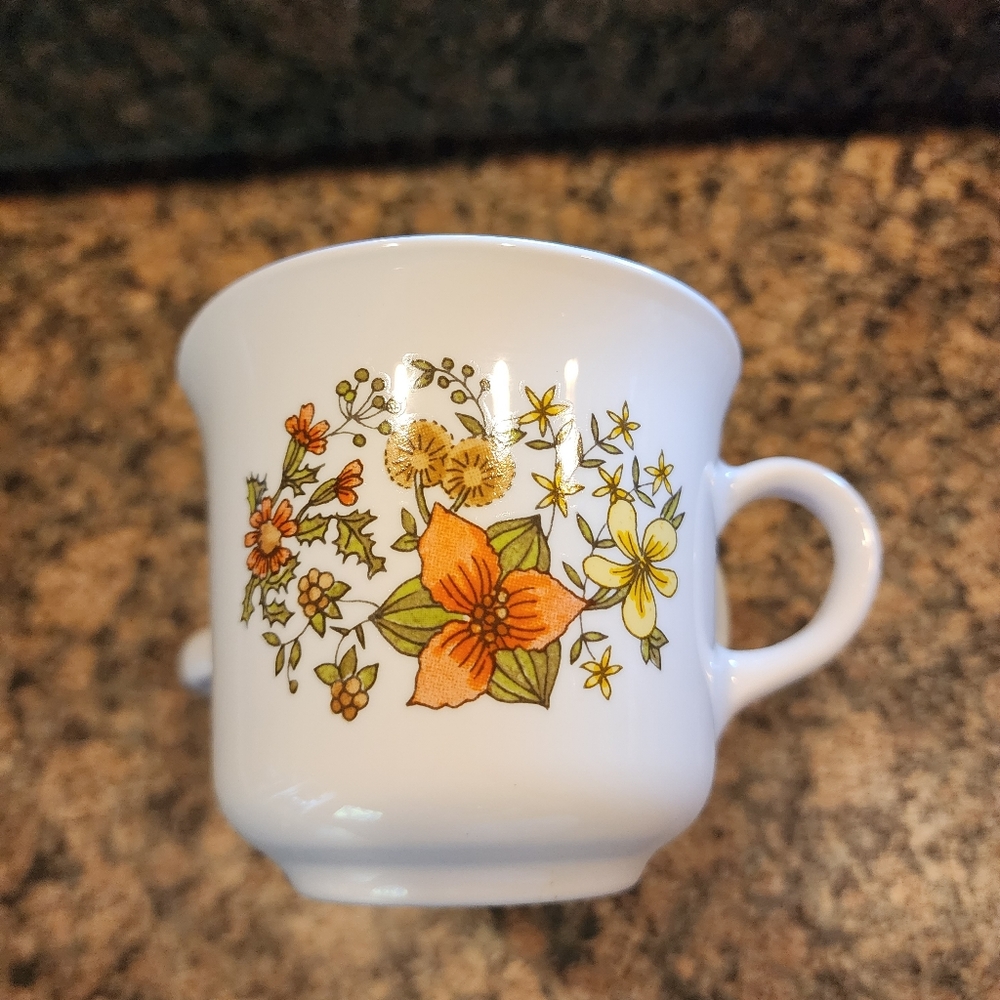 Corelle Indian Summer Coffee Mug, Set Of 2